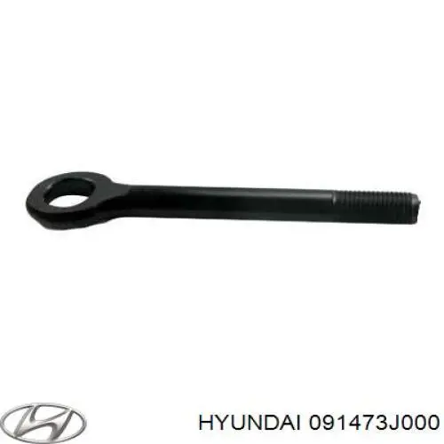 091473J000 Hyundai/Kia крюк буксирувальний