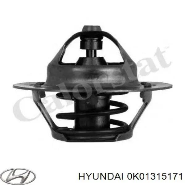 0K01315171 Hyundai/Kia термостат