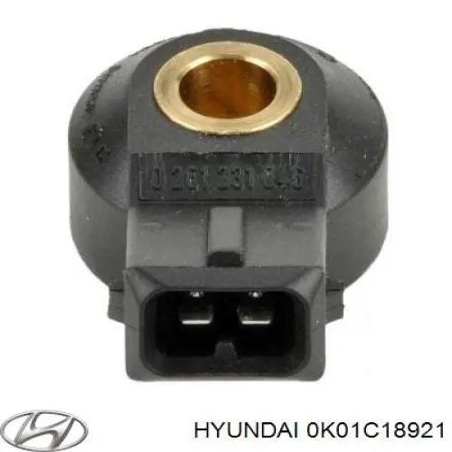 0K01C18921 Hyundai/Kia ДПКВ