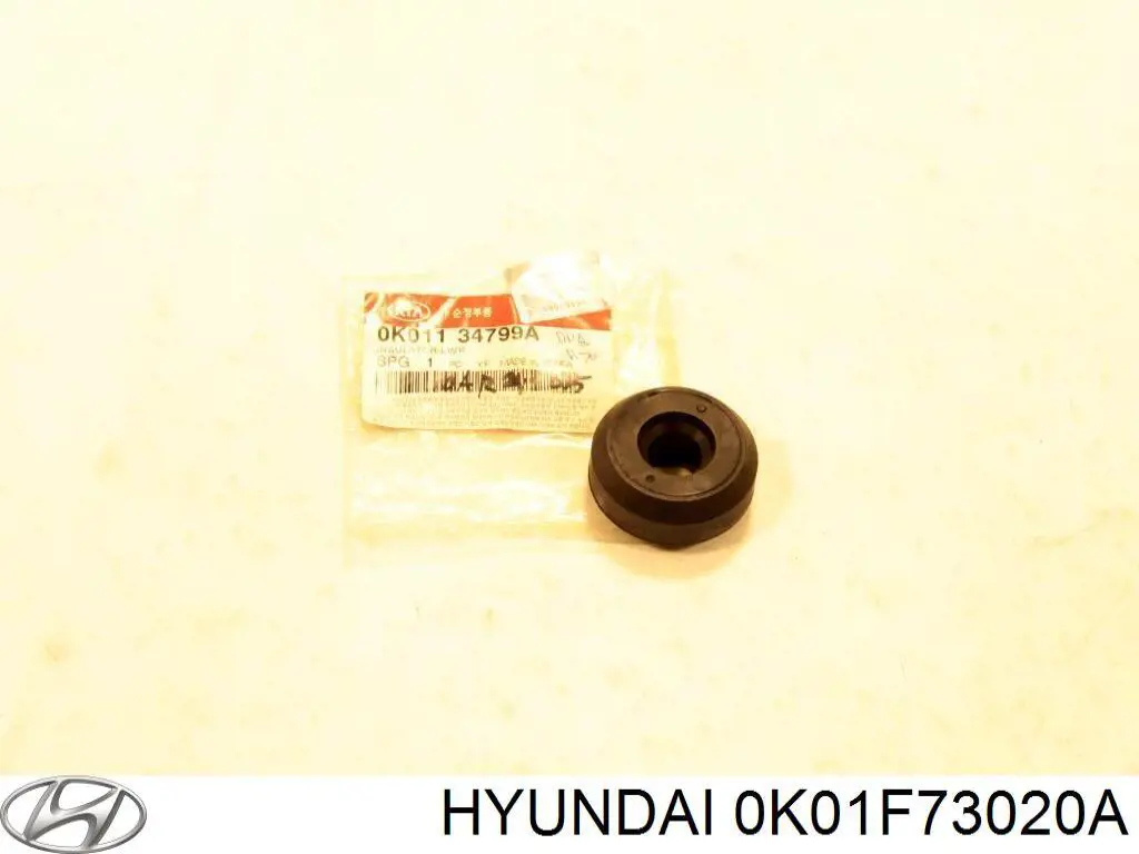 Двері задні Hyundai/Kia 0K01F73020 ціна, від 42.33 USD