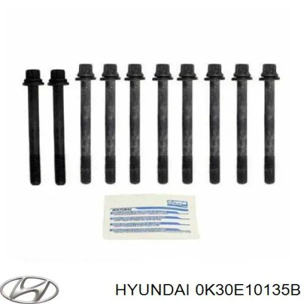 0K30F10135 Hyundai/Kia болт головки блока циліндрів, гбц