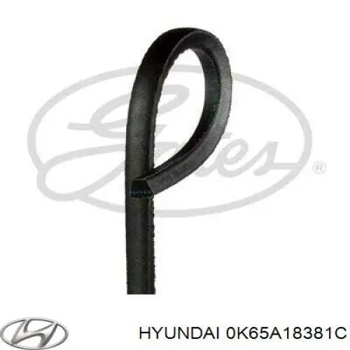 Клиновий ремінь Hyundai/Kia 0K65A18381C ціна, від 17.18 USD