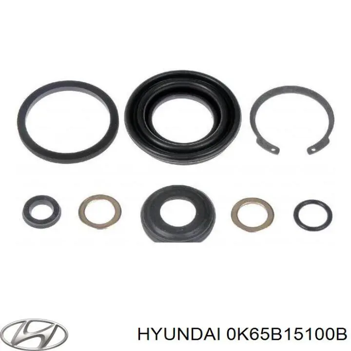 Водяний насос Hyundai/Kia 251004Z000