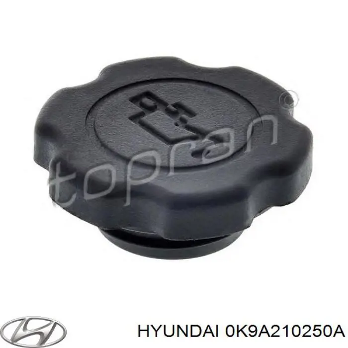 Купити 0K9A210250A Hyundai/Kia Кришка маслозаливной горловини