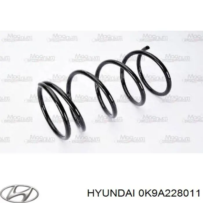 Купити ZC6795G Japan Parts Задні пружини