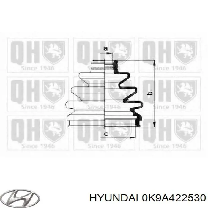 Пильник ШРУСа зовнішній 0021167 GKN-Spidan