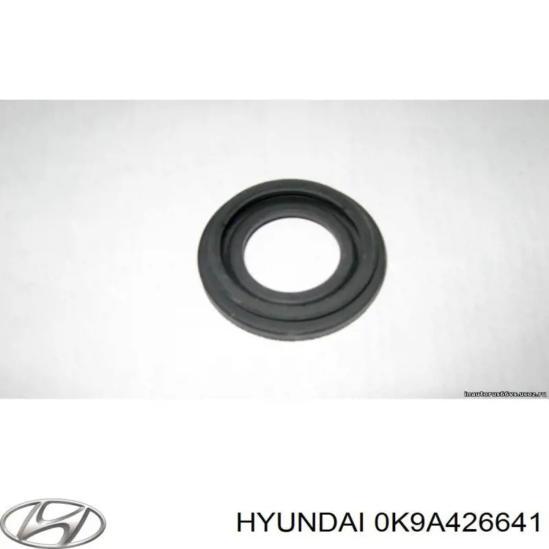  0K9A426641 Hyundai/Kia