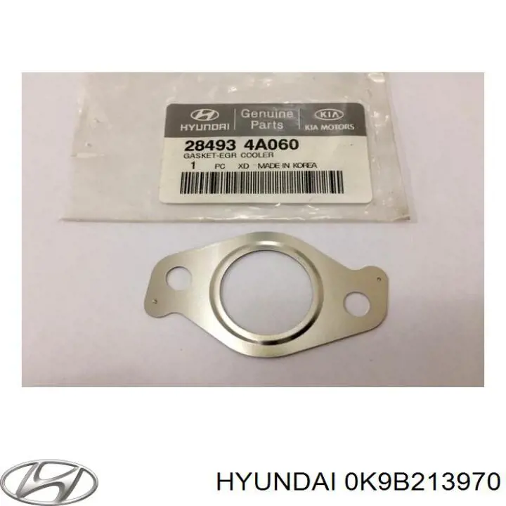 Адсорбер парів палива Hyundai/Kia 0K9B213970