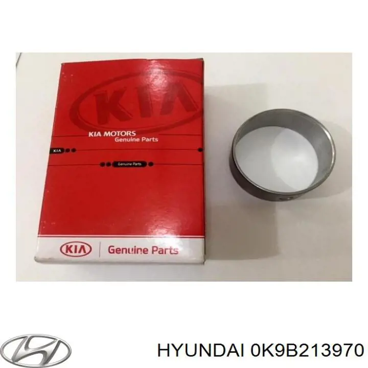 Купити 0K9B213970 Hyundai/Kia Абсорбер парів