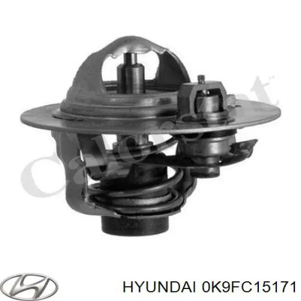 Купити 0K9FC15171 Hyundai/Kia Термостат в корпусі