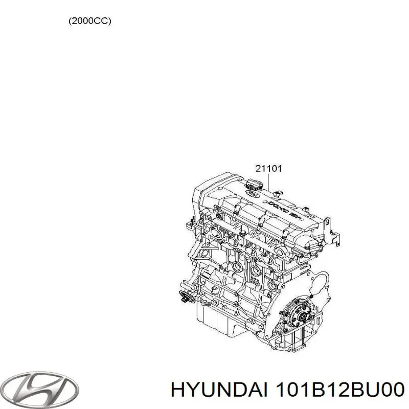 101B12BU00 Hyundai/Kia Мотор в зборі