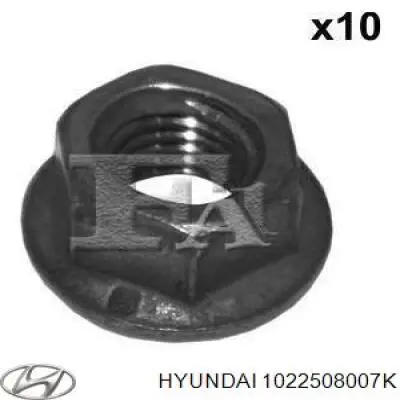  1022508007K Hyundai/Kia