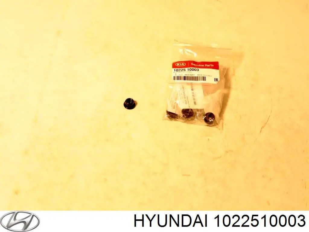  Hyundai/Kia 1022510003 ціна, від 0.98 USD