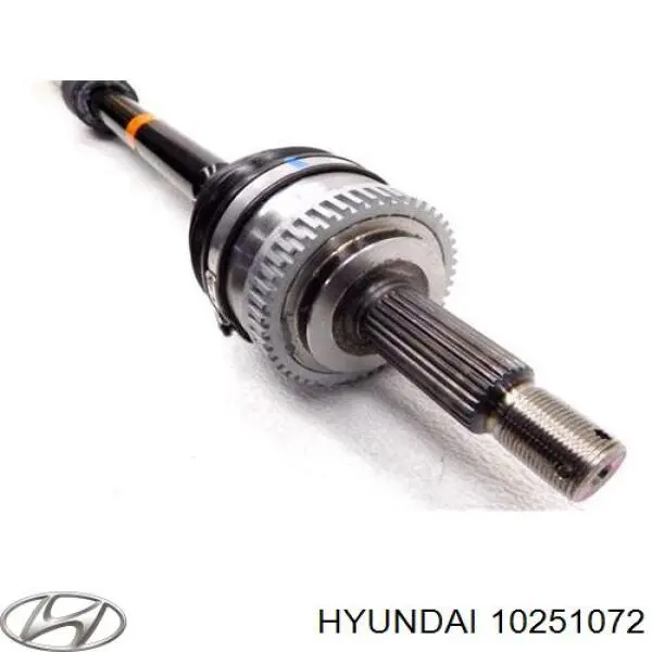  10251072 Hyundai/Kia