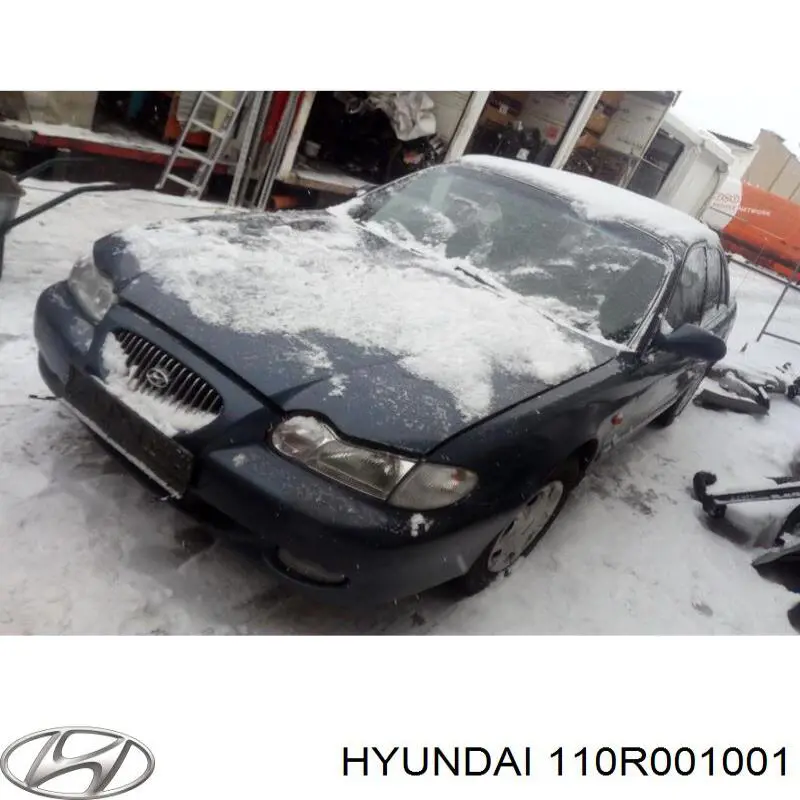  67R011002 VAG