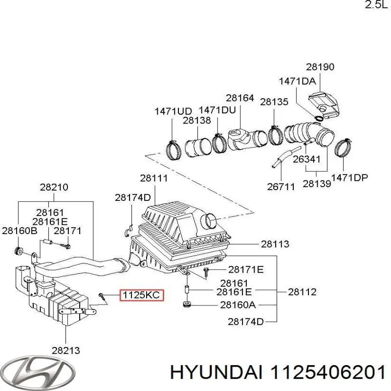 Болт/гайка кріплення T6062310 Signeda