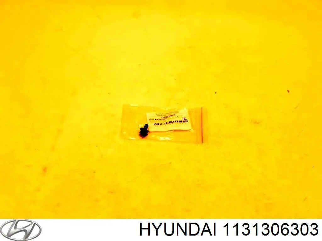 1131306303 Hyundai/Kia 