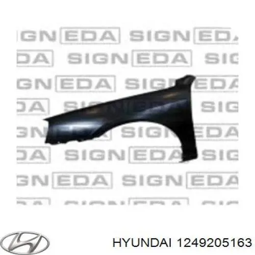 Купити 1249205163 Hyundai/Kia 