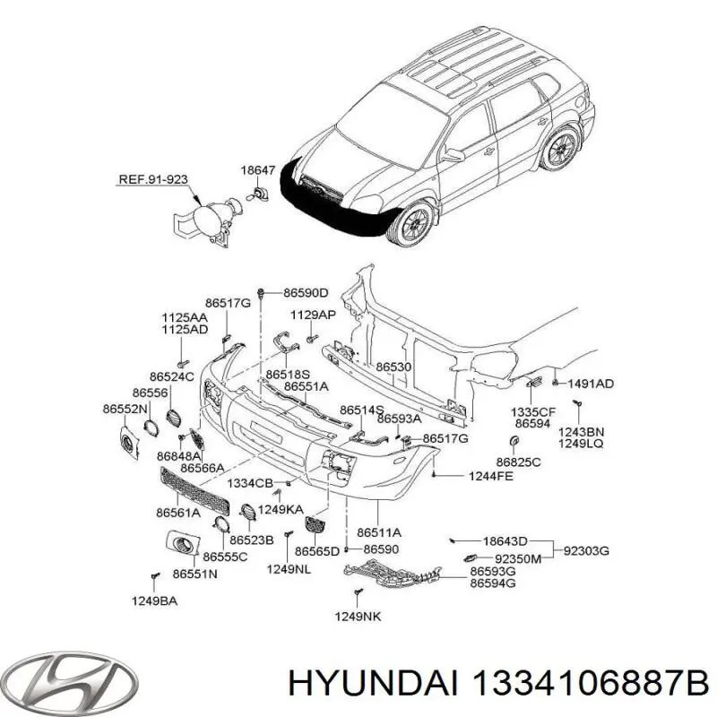 1334106887B Hyundai/Kia 
