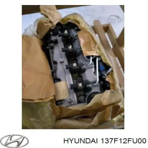 Купити 137F12FU00 Hyundai/Kia Двигун