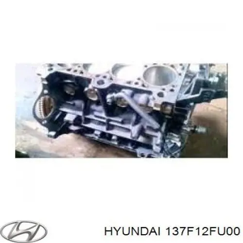 ДВЗ Hyundai/Kia 137F12FU00 ціна, від 6991.38 USD
