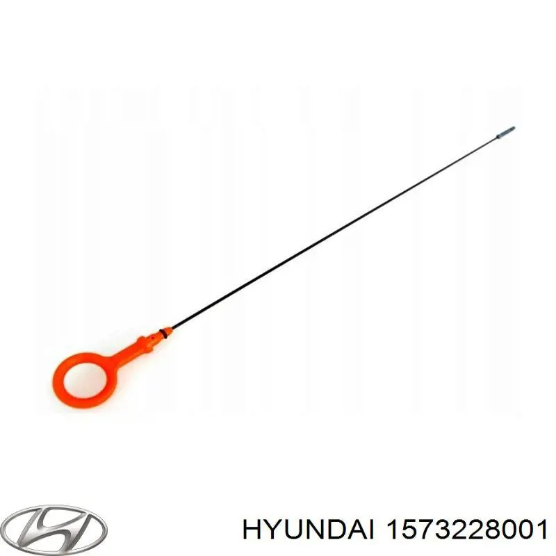 1573228001 Hyundai/Kia заглушка гбц/блоку циліндрів