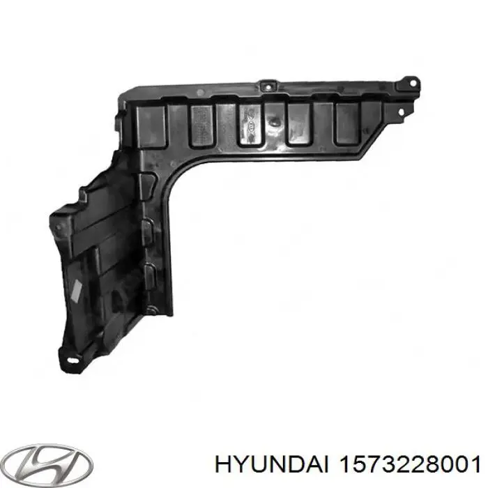Купити Заглушка блоку циліндрів Hyundai H100  P