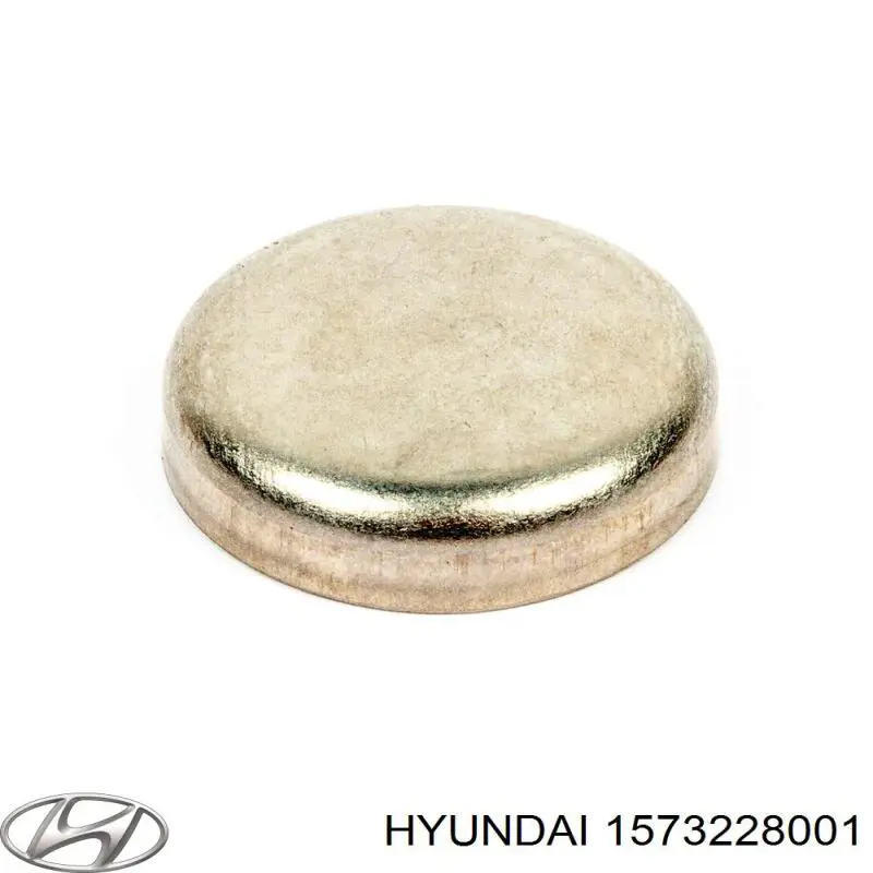 Купити Заглушка блоку циліндрів Hyundai H100  P