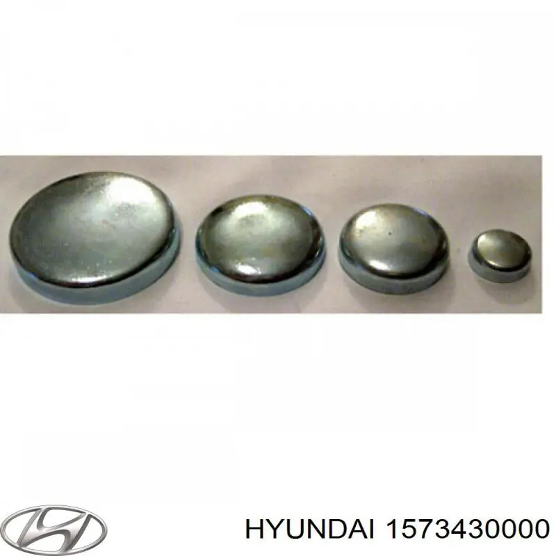 Заглушка ГБЦ/блоку циліндрів Hyundai Sonata (NF) (Хендай Соната)