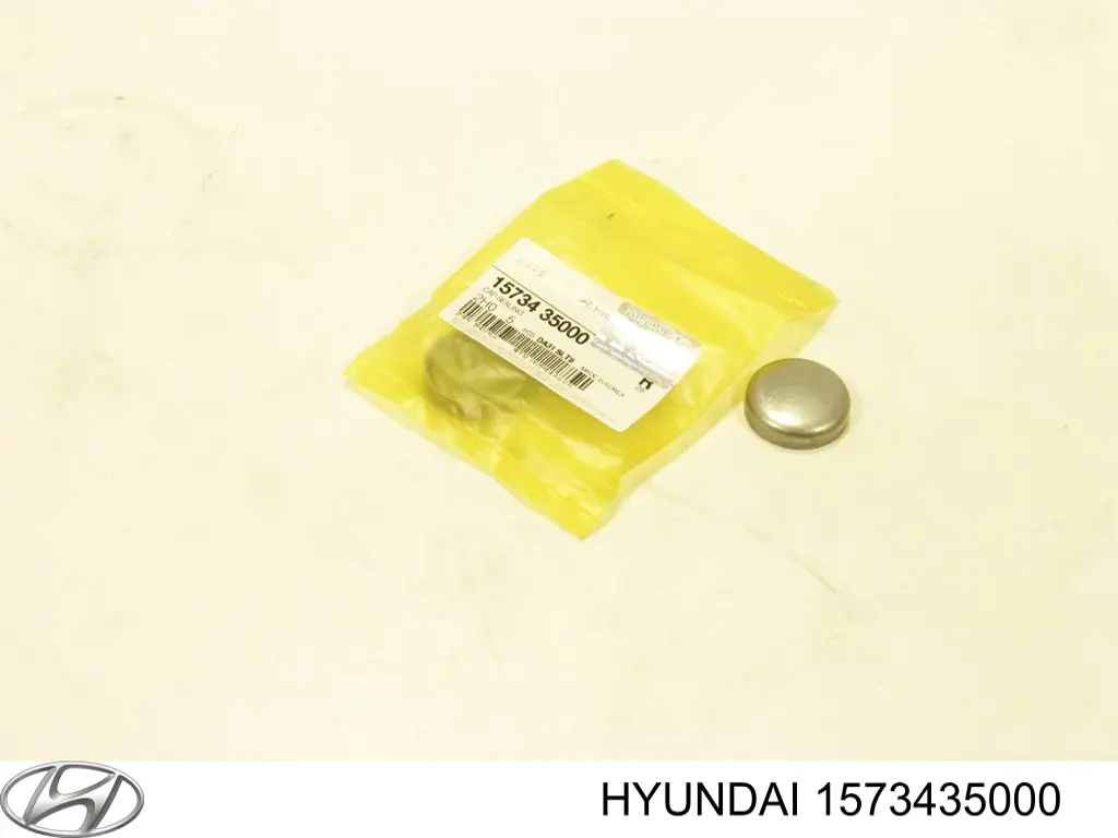 1573435000 Hyundai/Kia заглушка гбц/блоку циліндрів