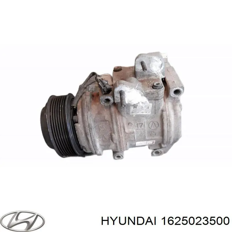 Насос кондиціонера Hyundai/Kia 1625023500