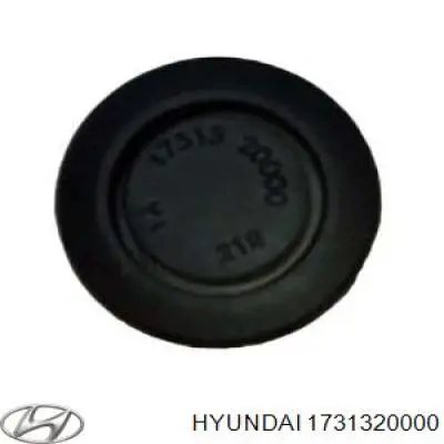 Заглушка днища кузова Hyundai/Kia 1731320000 ціна, від 0.78 USD