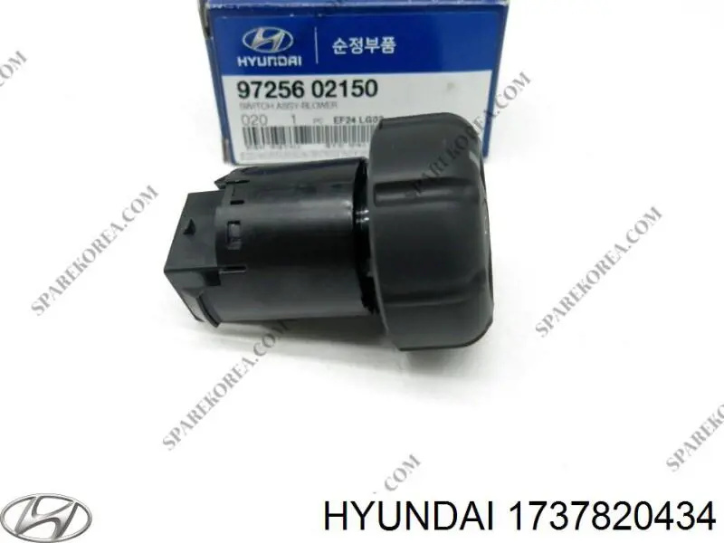 1737820434 Hyundai/Kia 