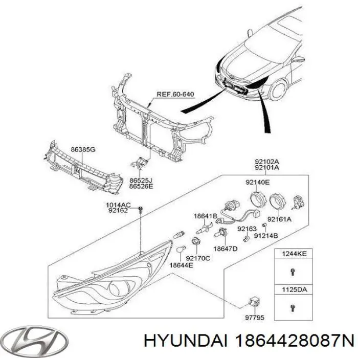 Купити 1864428087N Hyundai/Kia Лампочки