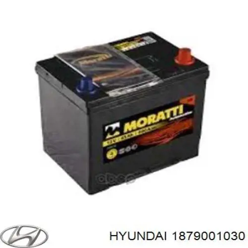 Купити 1879001030 Hyundai/Kia Запобіжник
