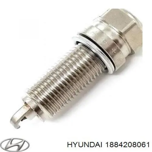 Купити 1884208061 Hyundai/Kia Свічка запалювання