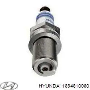 1884810080 Hyundai/Kia Свіча запалювання