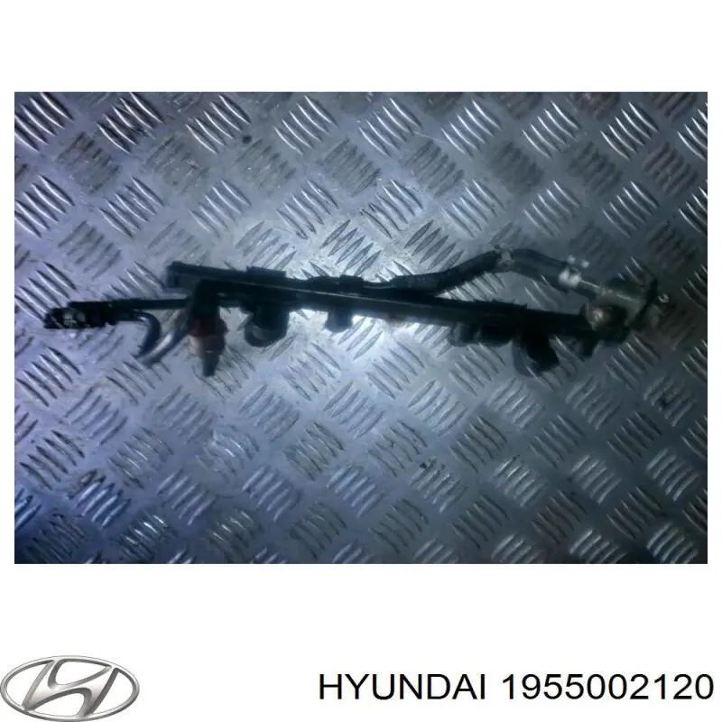 1955002120 Hyundai/Kia 