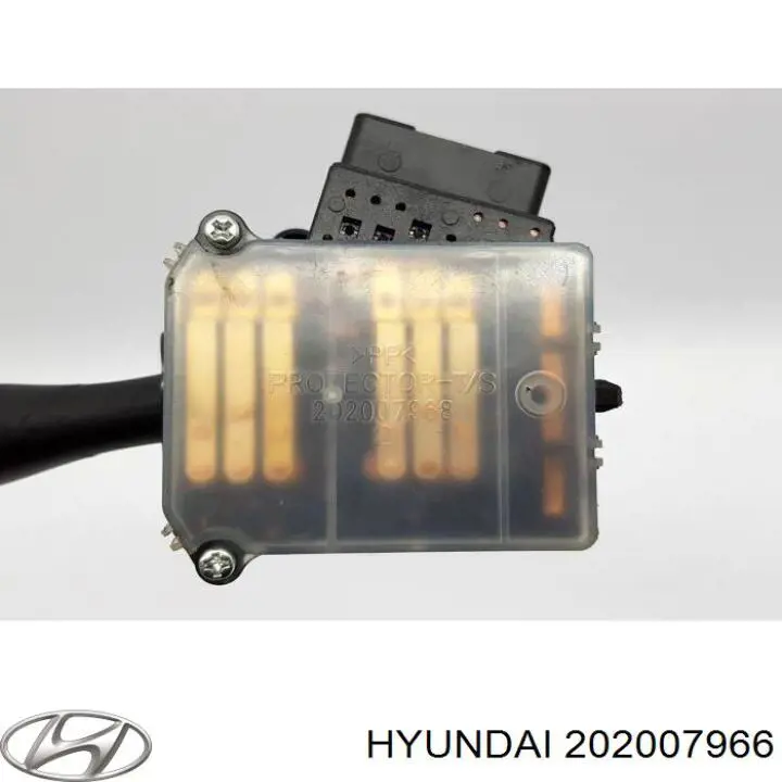 202007966 Hyundai/Kia 
