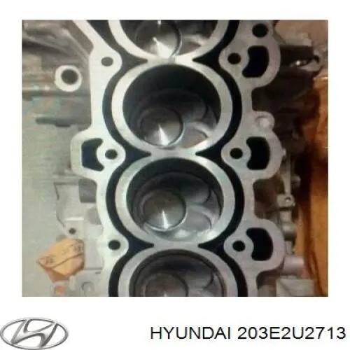 Купити 203E2U2713 Hyundai/Kia Блок двигуна