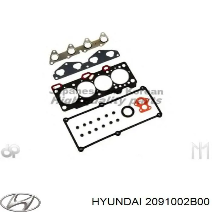 2091002B00 Hyundai/Kia комплект прокладок двигуна, повний