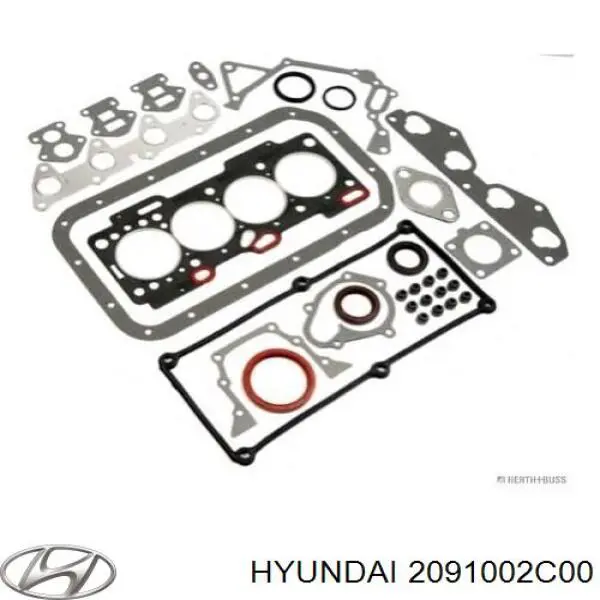 Купити 2091002C00 Hyundai/Kia Комплект прокладок