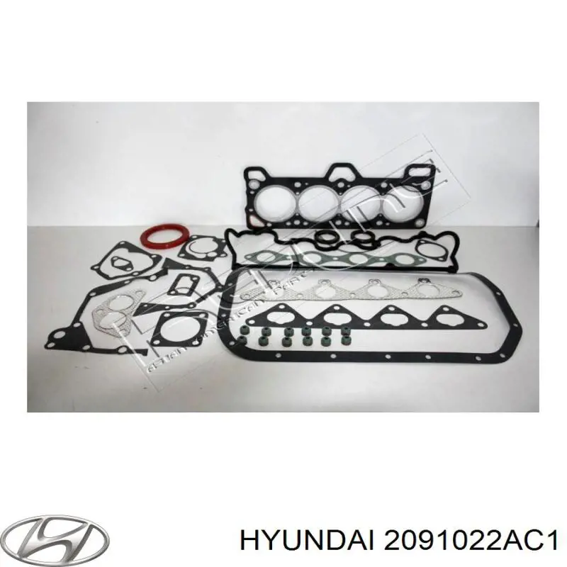 2091022AC1 Hyundai/Kia комплект прокладок двигуна, повний