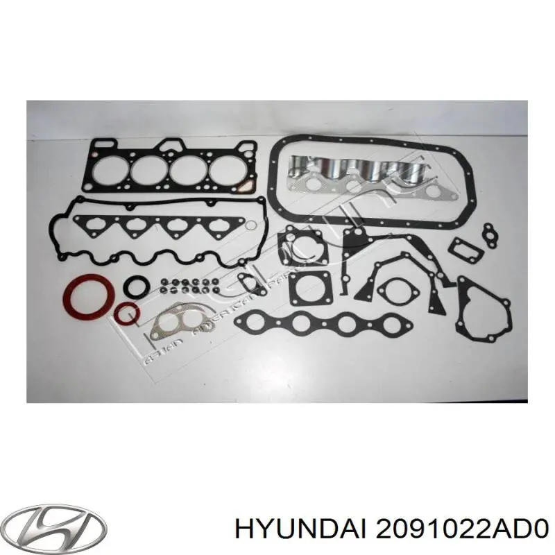 Купити 2091022AD0 Hyundai/Kia Комплект прокладок
