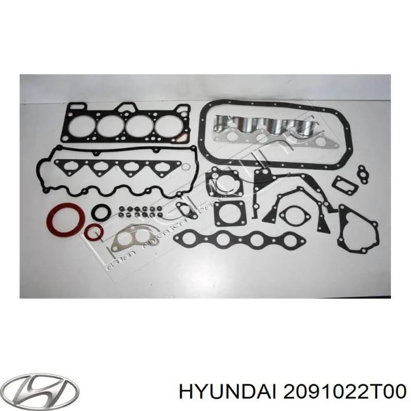 2091022T00 Hyundai/Kia комплект прокладок двигуна, повний
