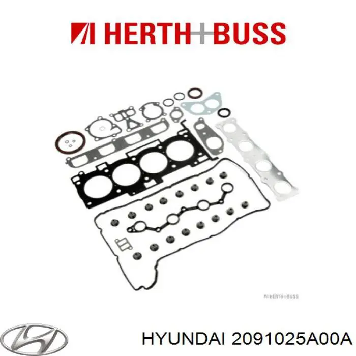 2091025A00A Hyundai/Kia комплект прокладок двигуна, повний