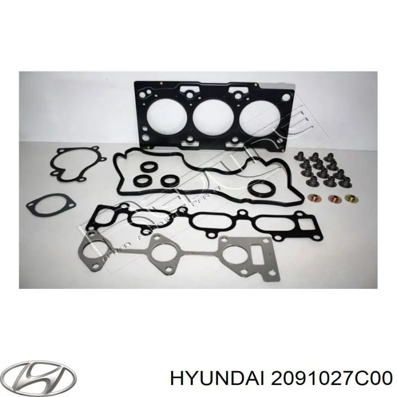 Комплект прокладок двигуна, повний 2091027C00 Hyundai/Kia