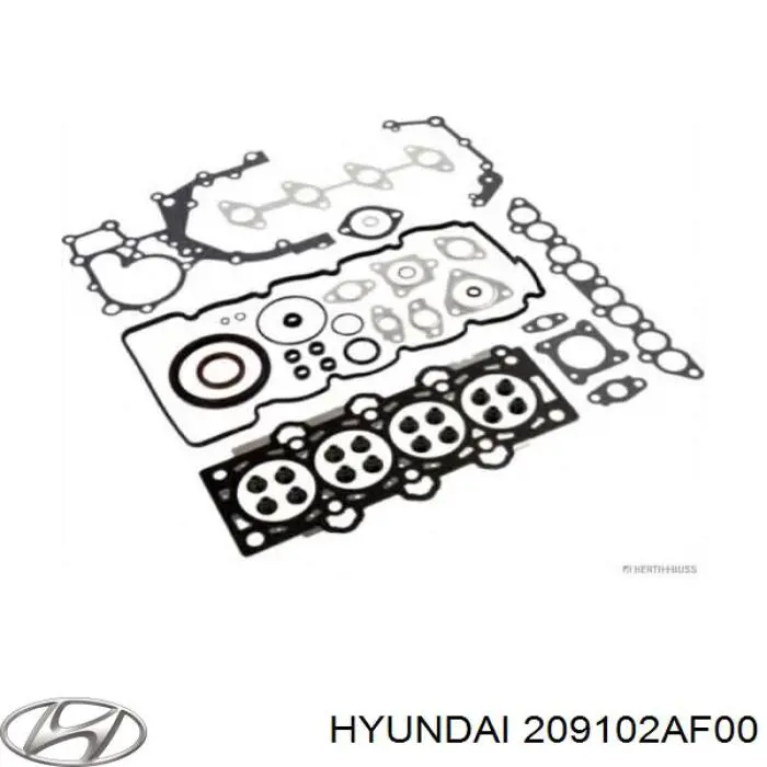 209102AF00 Hyundai/Kia комплект прокладок двигуна, повний