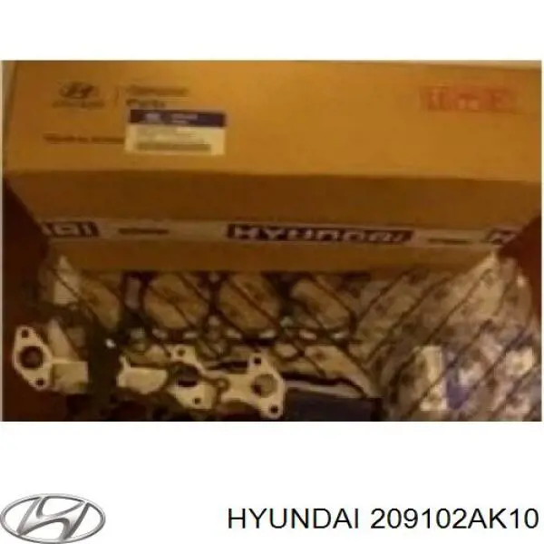 209102AK10 Hyundai/Kia Набір прокладок двигуна