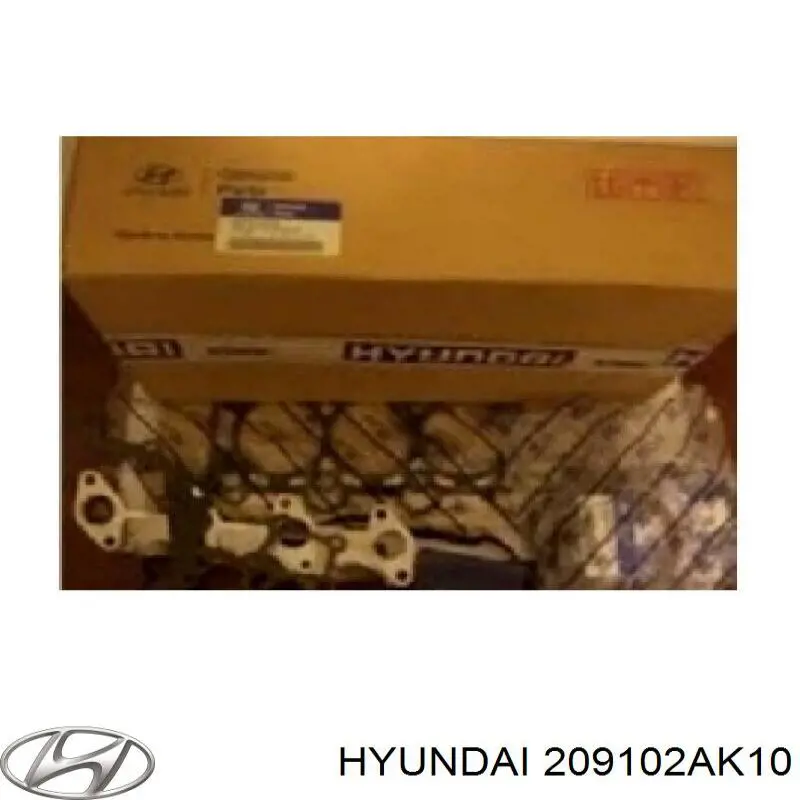 Комплект прокладок двигуна, повний Hyundai/Kia 209102AK10 ціна, від 166.09 USD